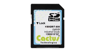 Memory Card, SD, 4GB, 20MB/s, 17MB/s, Black